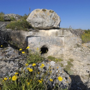 Tomba a prospetto architettonico 'Sa figu IV' (foto di Rossella Fadda)