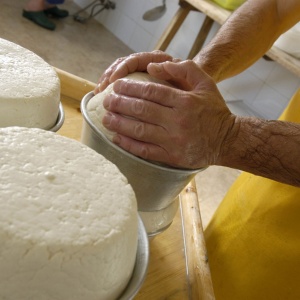 Produzione di formaggio a latte crudo (foto di Rossella Fadda)